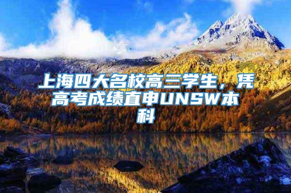 上海四大名校高三学生，凭高考成绩直申UNSW本科