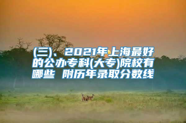 (三)、2021年上海最好的公办专科(大专)院校有哪些 附历年录取分数线