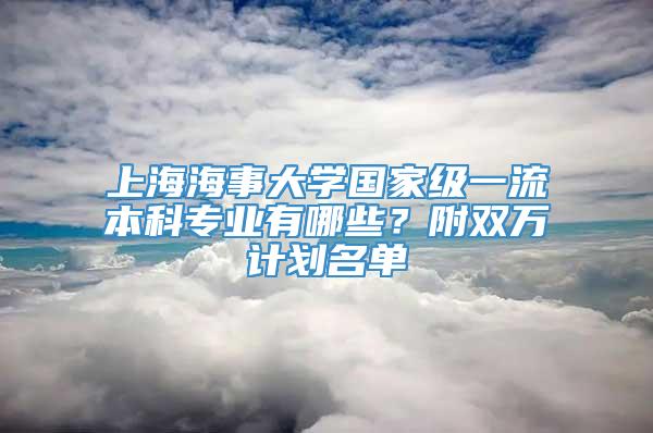 上海海事大学国家级一流本科专业有哪些？附双万计划名单