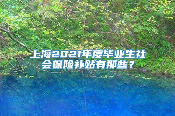 上海2021年度毕业生社会保险补贴有那些？