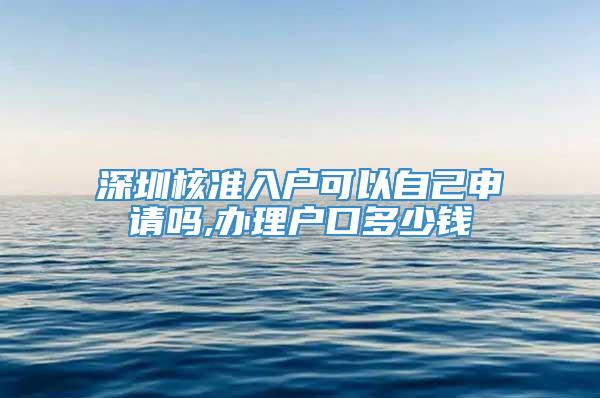 深圳核准入户可以自己申请吗,办理户口多少钱