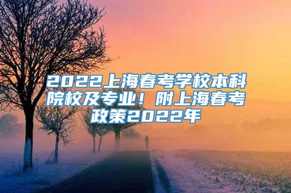 2022上海春考学校本科院校及专业！附上海春考政策2022年