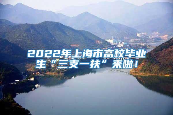 2022年上海市高校毕业生“三支一扶”来啦！