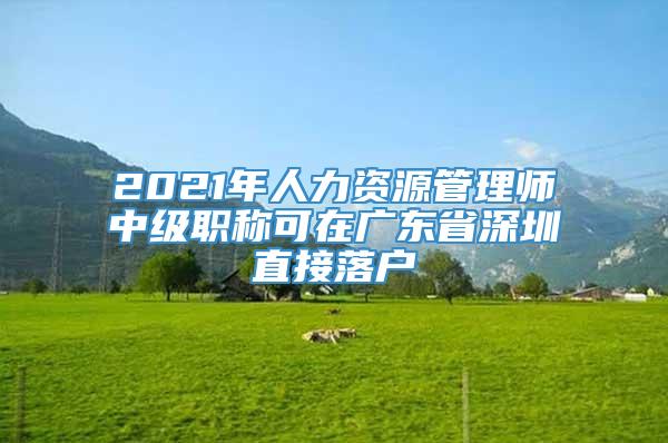 2021年人力资源管理师中级职称可在广东省深圳直接落户