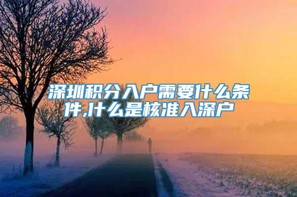 深圳积分入户需要什么条件,什么是核准入深户