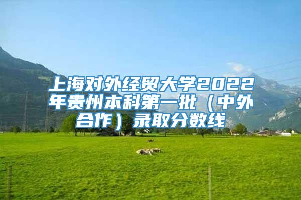上海对外经贸大学2022年贵州本科第一批（中外合作）录取分数线