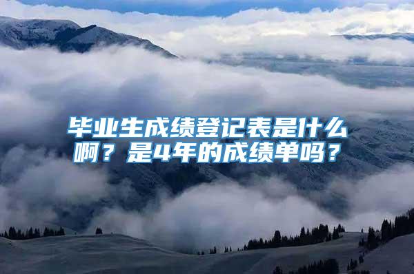 毕业生成绩登记表是什么啊？是4年的成绩单吗？