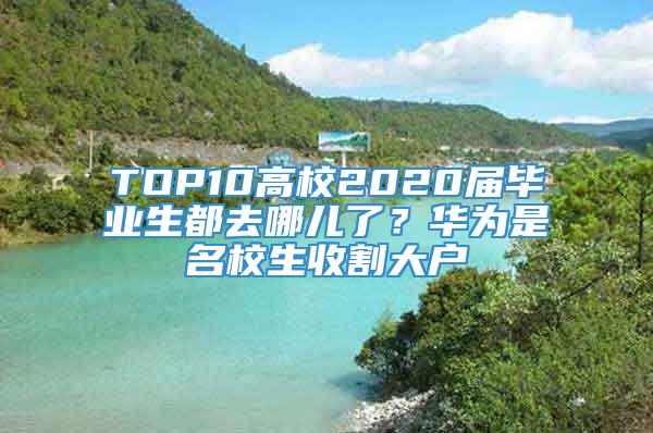 TOP10高校2020届毕业生都去哪儿了？华为是名校生收割大户