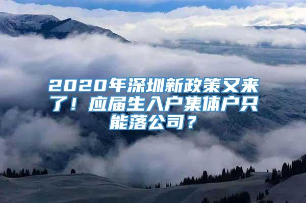 2020年深圳新政策又来了！应届生入户集体户只能落公司？