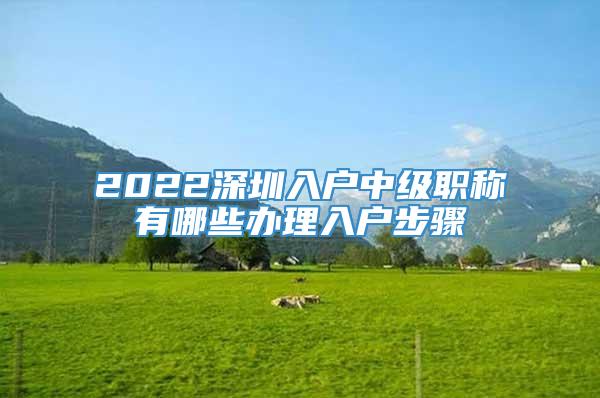 2022深圳入户中级职称有哪些办理入户步骤