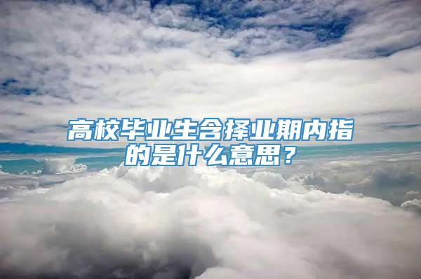 高校毕业生含择业期内指的是什么意思？