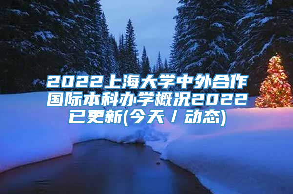 2022上海大学中外合作国际本科办学概况2022已更新(今天／动态)