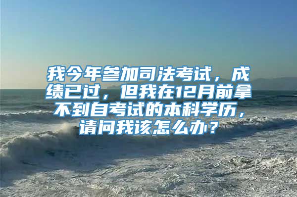 我今年参加司法考试，成绩已过，但我在12月前拿不到自考试的本科学历，请问我该怎么办？