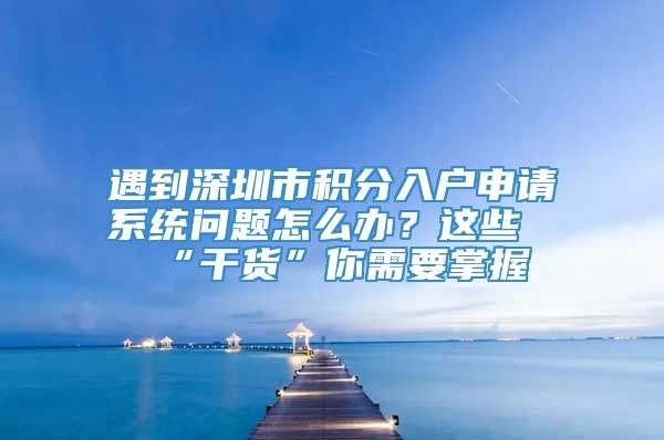 遇到深圳市积分入户申请系统问题怎么办？这些“干货”你需要掌握