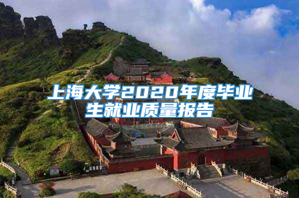 上海大学2020年度毕业生就业质量报告