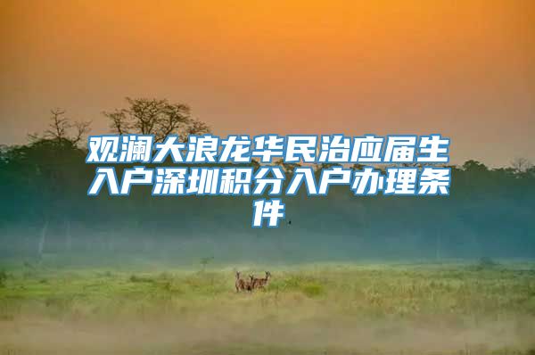 观澜大浪龙华民治应届生入户深圳积分入户办理条件