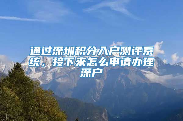 通过深圳积分入户测评系统，接下来怎么申请办理深户