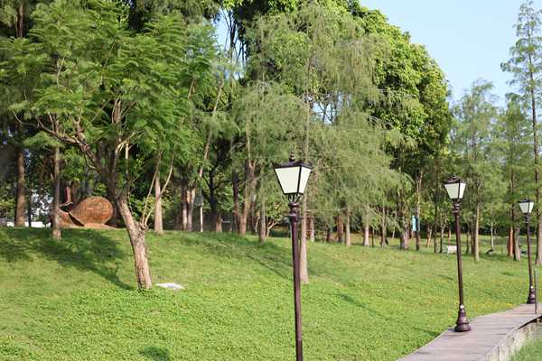 深圳积分入户去办理