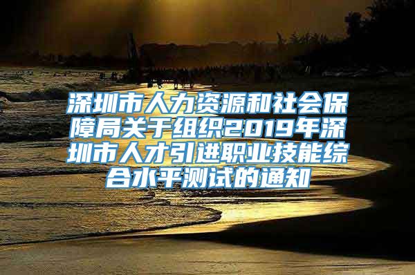 深圳市人力资源和社会保障局关于组织2019年深圳市人才引进职业技能综合水平测试的通知