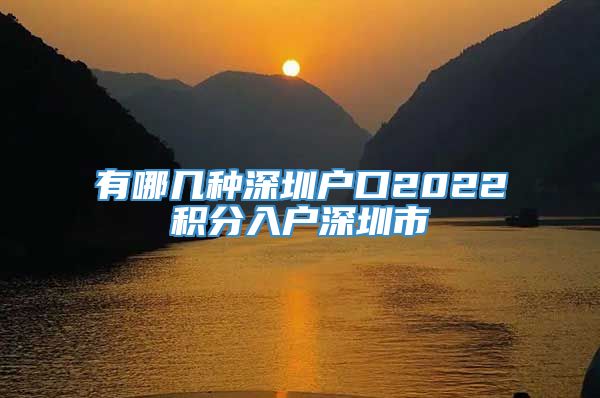 有哪几种深圳户口2022积分入户深圳市