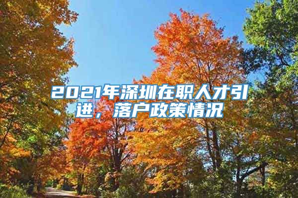 2021年深圳在职人才引进，落户政策情况