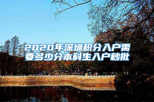 2020年深圳积分入户需要多少分本科生入户秒批