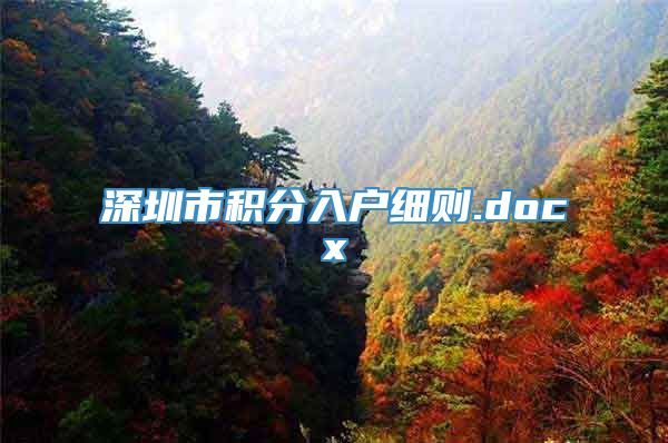 深圳市积分入户细则.docx