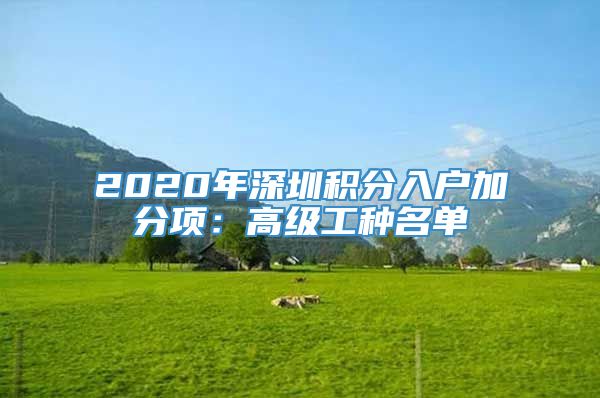 2020年深圳积分入户加分项：高级工种名单