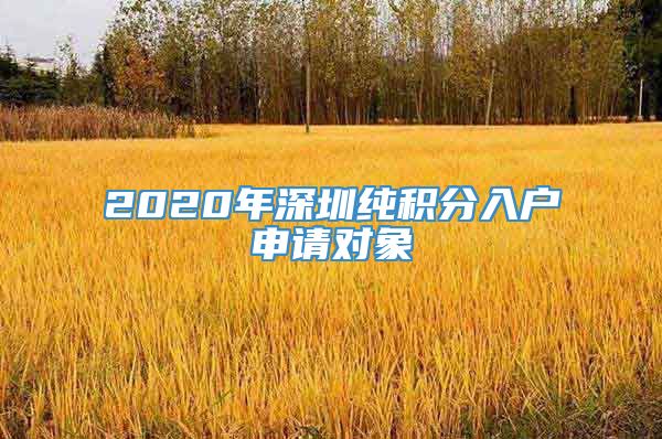 2020年深圳纯积分入户申请对象