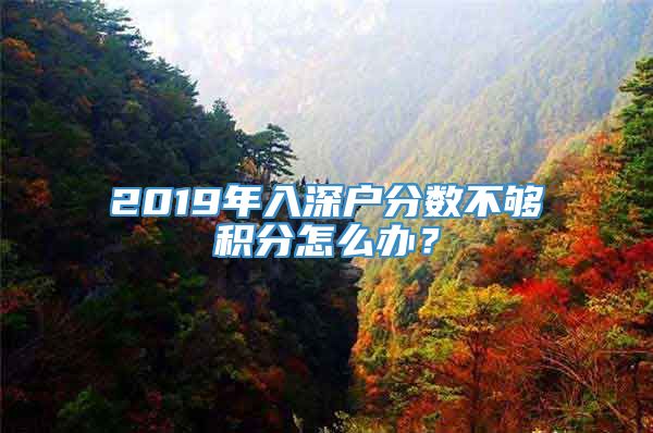 2019年入深户分数不够积分怎么办？