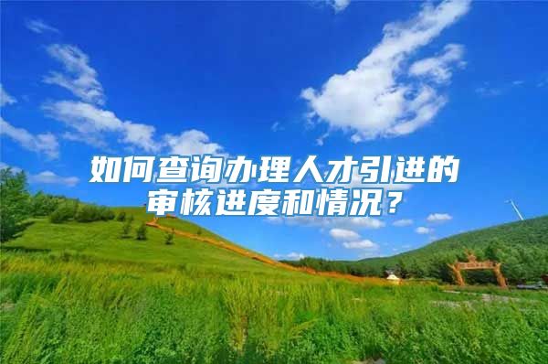 如何查询办理人才引进的审核进度和情况？