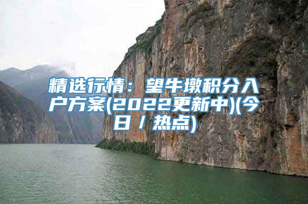 精选行情：望牛墩积分入户方案(2022更新中)(今日／热点)