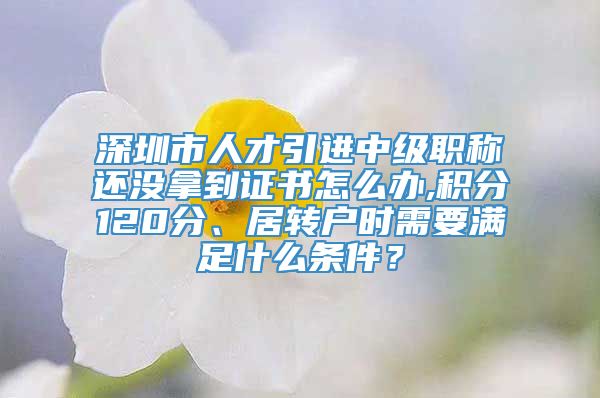 深圳市人才引进中级职称还没拿到证书怎么办,积分120分、居转户时需要满足什么条件？