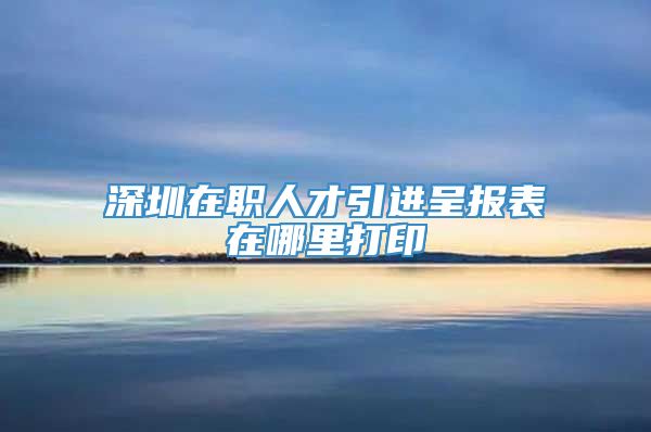 深圳在职人才引进呈报表在哪里打印