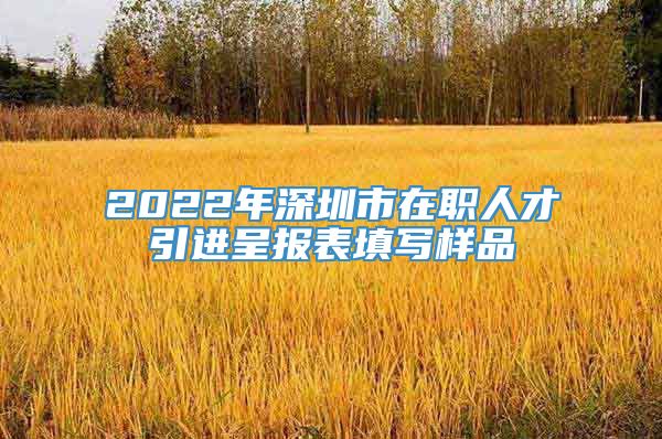 2022年深圳市在职人才引进呈报表填写样品