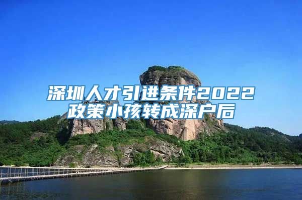 深圳人才引进条件2022政策小孩转成深户后