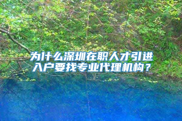 为什么深圳在职人才引进入户要找专业代理机构？