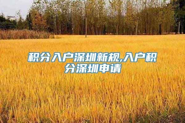 积分入户深圳新规,入户积分深圳申请