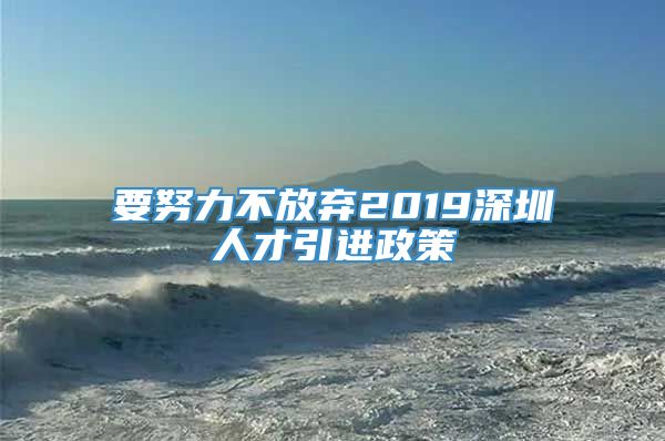 要努力不放弃2019深圳人才引进政策