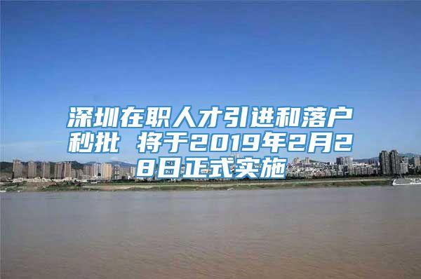 深圳在职人才引进和落户秒批 将于2019年2月28日正式实施