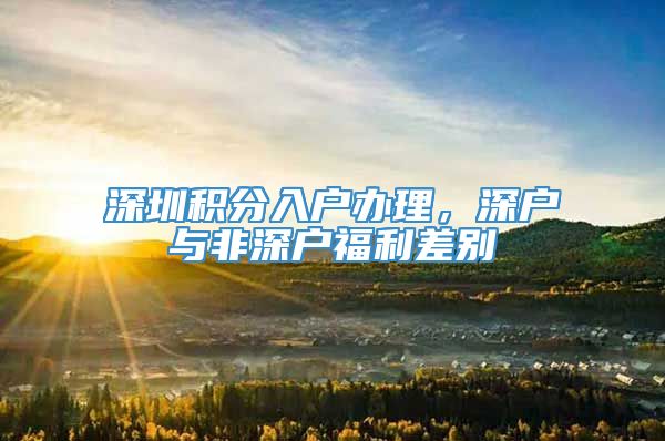 深圳积分入户办理，深户与非深户福利差别