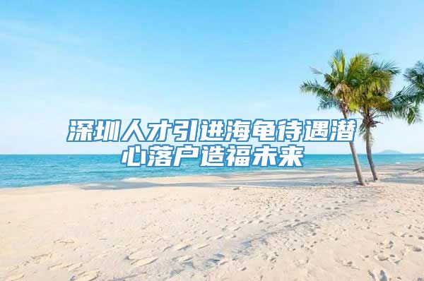 深圳人才引进海龟待遇潜心落户造福未来