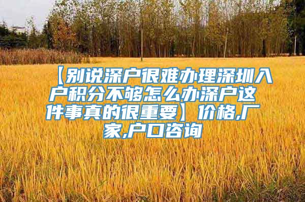 【别说深户很难办理深圳入户积分不够怎么办深户这件事真的很重要】价格,厂家,户口咨询