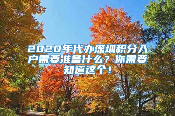 2020年代办深圳积分入户需要准备什么？你需要知道这个！