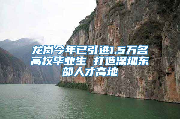 龙岗今年已引进1.5万名高校毕业生 打造深圳东部人才高地