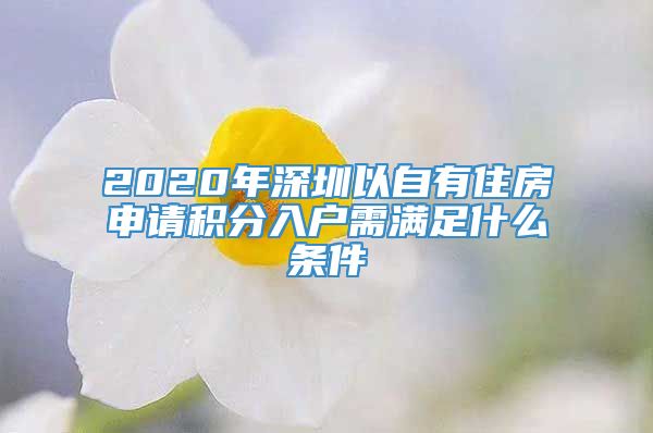 2020年深圳以自有住房申请积分入户需满足什么条件