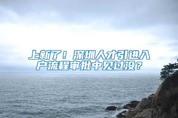 上新了！深圳人才引进入户流程审批中见过没？