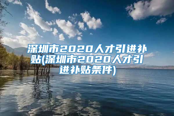 深圳市2020人才引进补贴(深圳市2020人才引进补贴条件)