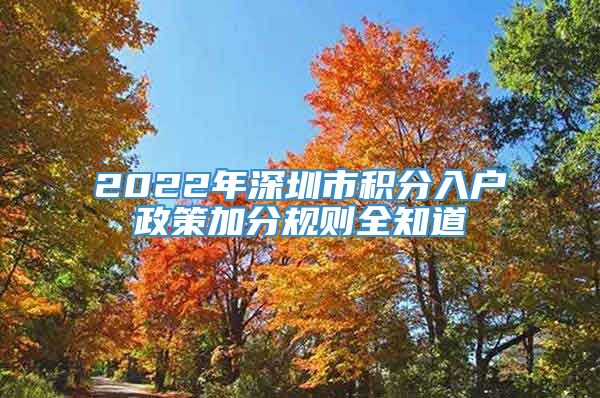 2022年深圳市积分入户政策加分规则全知道