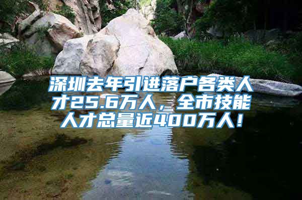 深圳去年引进落户各类人才25.6万人，全市技能人才总量近400万人！